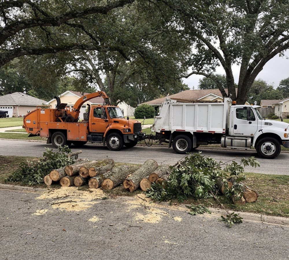Bucket truck and chipper working a tree removal in Durham, NC